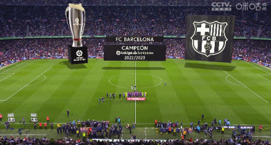 一河南球迷骑三轮车875公里，耗时19天抵达足协杯决赛地苏州（为看足协杯决赛，河南球迷骑三轮19天行875公里抵达苏州）